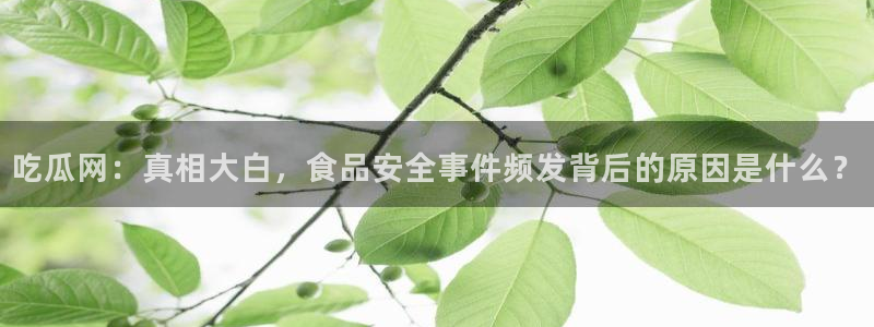 吃瓜新闻后续进展