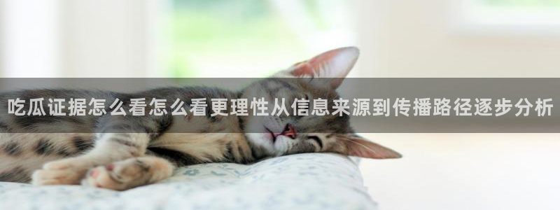 吃瓜真相信息核验