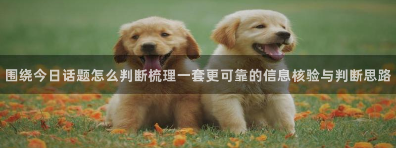 社会热点信息核验
