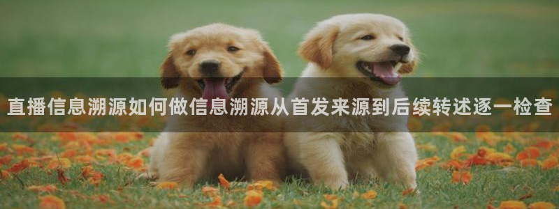 社会热点后续进展