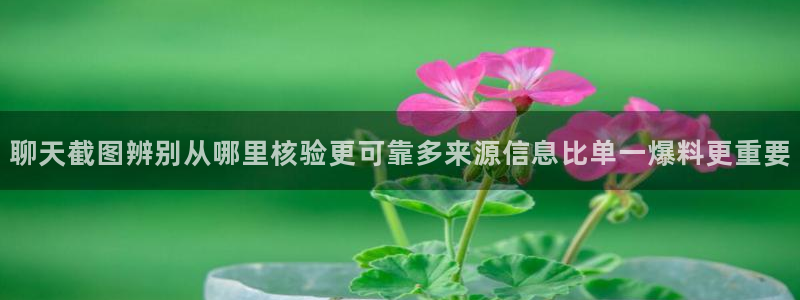吃瓜新闻今日更新