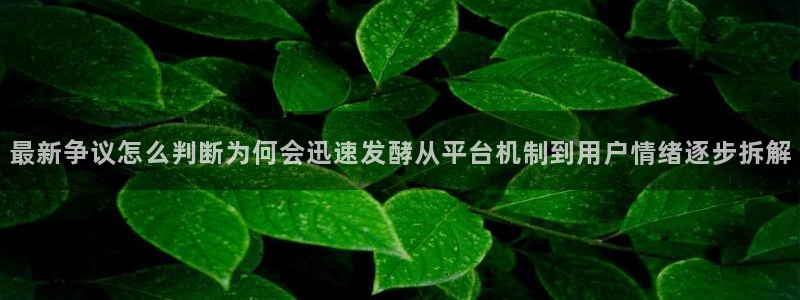 独家吃瓜事件始末