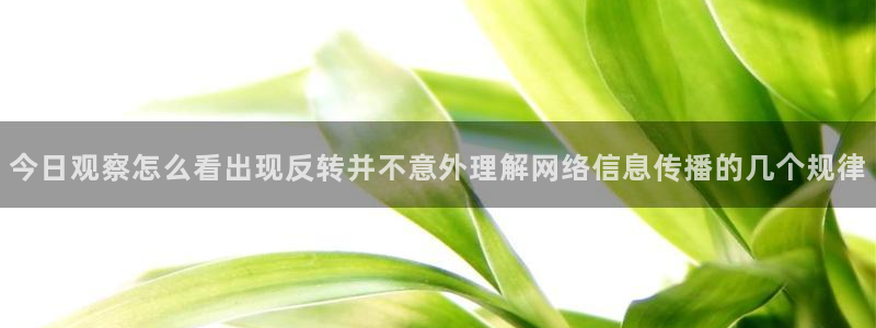 职场热点后续进展