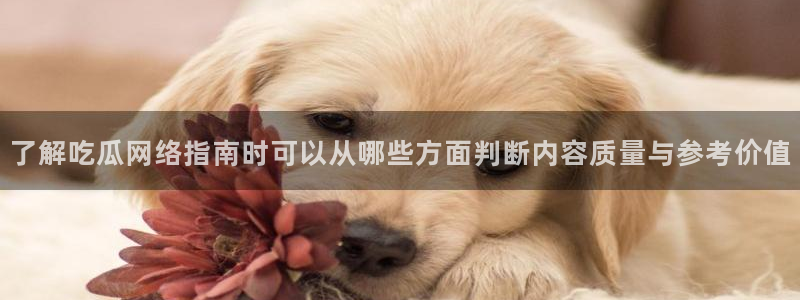 网络热点事件始末