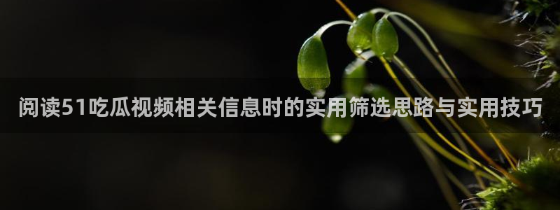 吃瓜爆料完整时间线
